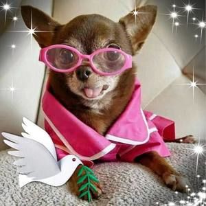 Meet your Posher, Tammy